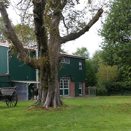 Ferienwohnung Weideglueck Osten Bagian luar foto