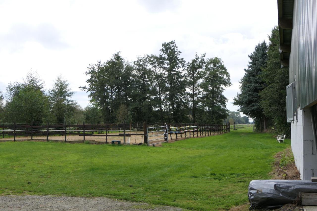 Ferienwohnung Weideglueck Osten Bagian luar foto