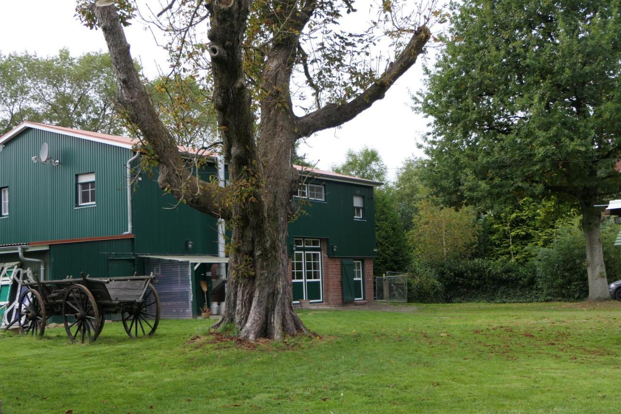 Ferienwohnung Weideglueck Osten Bagian luar foto