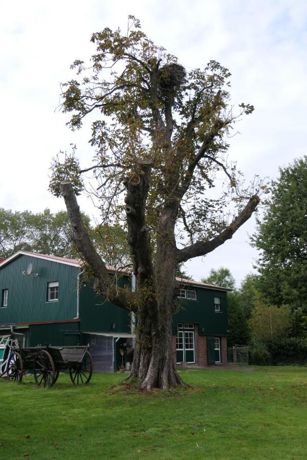 Ferienwohnung Weideglueck Osten Bagian luar foto
